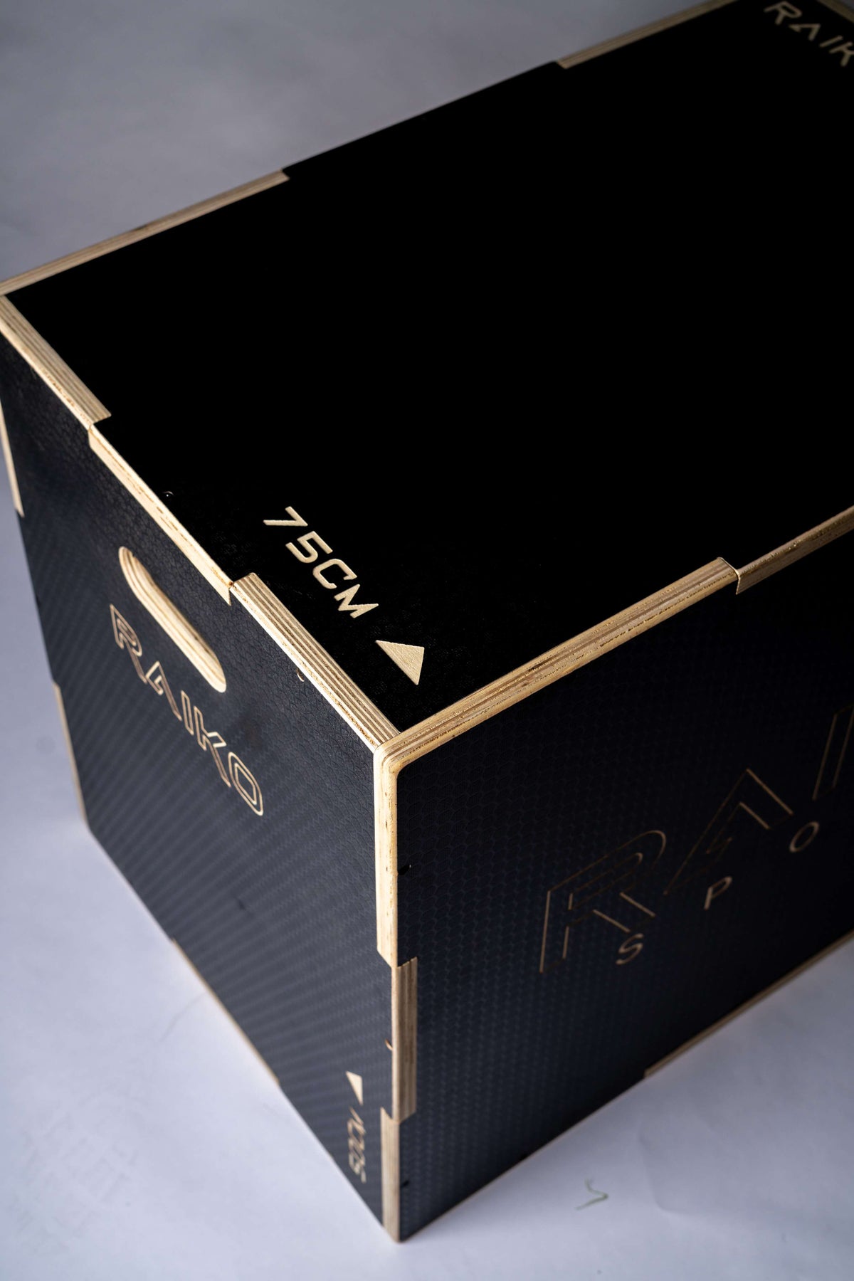 Raiko box jump
