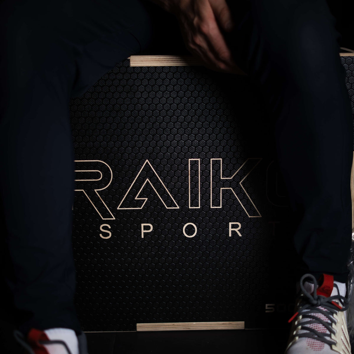Raiko box jump